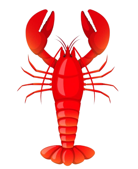 Lobster